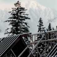 Rafters and Snow